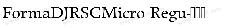 FormaDJRSCMicro Regu字体转换